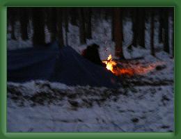 Survival (15) * 3072 x 2304 * (1.39MB)